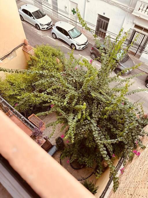 Apartment Muy Centrico En Junto A Ruzafa Valencia